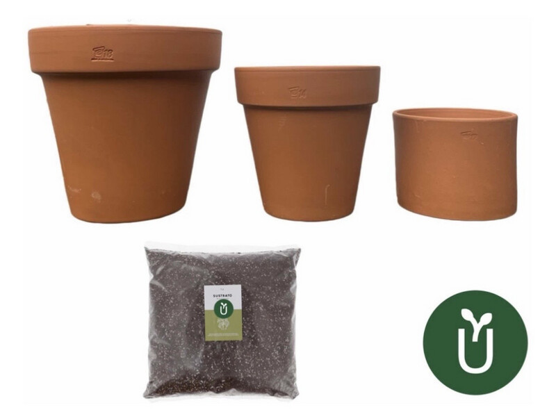 Maceta Barro No 14 - Incluye Tierra Sustrato