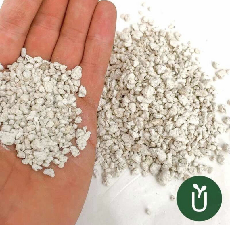 SUSTRATO INERTE PERLITA - 5L