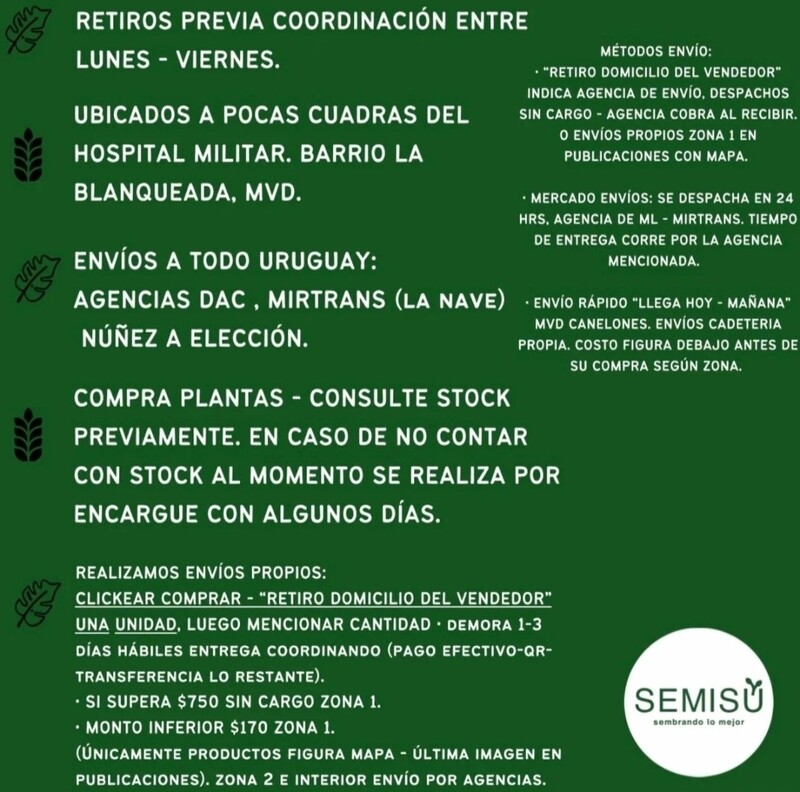 Fungicida Sulfato De Cobre - Problema Plantas Hongos