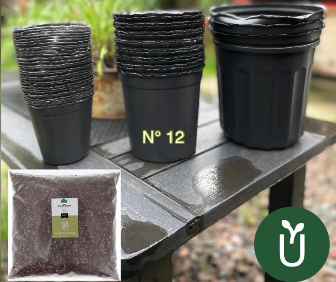 Macetas Plásticas Negras No12 - Plantas Plantines + Sustrato