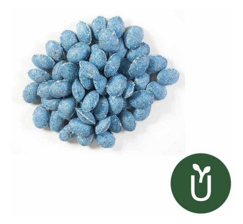 Raticida Caja 100g - Veneno Ratas - Envíos