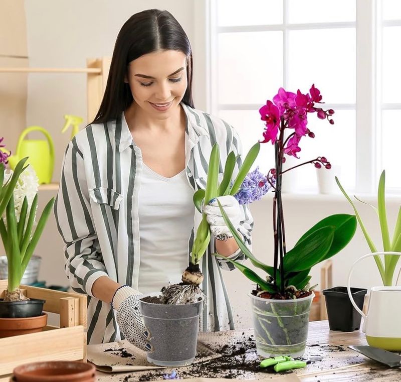 MACETA ORQUÍDEA 