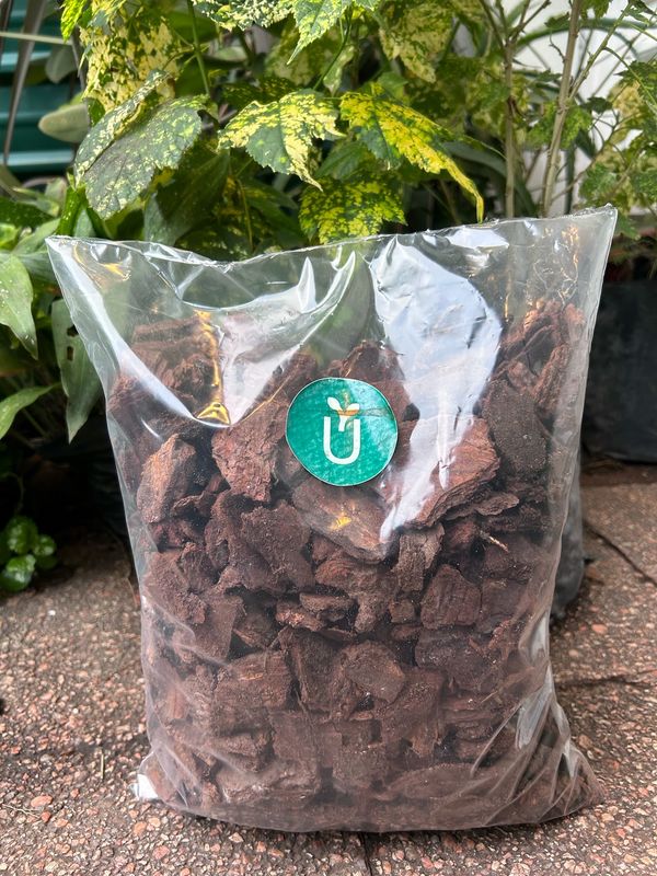 CHIPS DECORATIVOS 10L