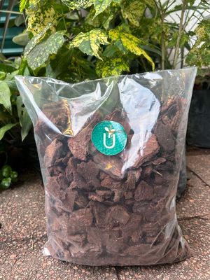 CHIPS DECORATIVOS 10L