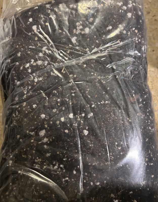 Cactus Mix - 7 L