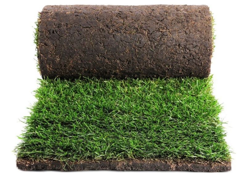 ROLLO CÉSPED BERMUDA - 1/2 M2