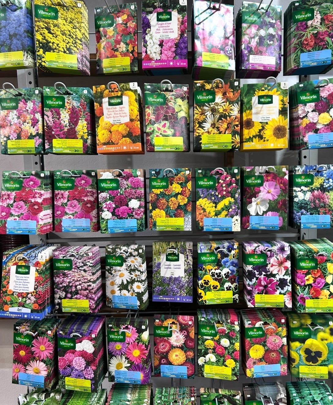 Semillas Florales 