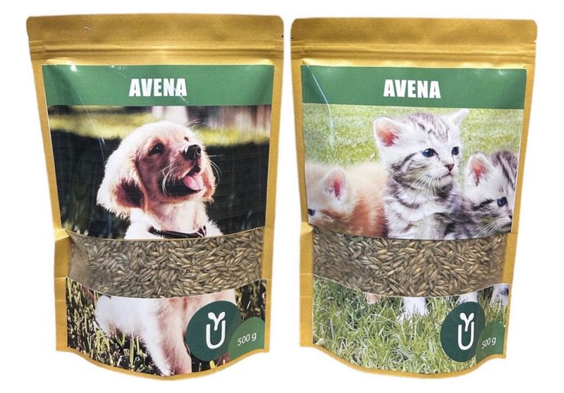 SEMILLAS AVENA 1kg