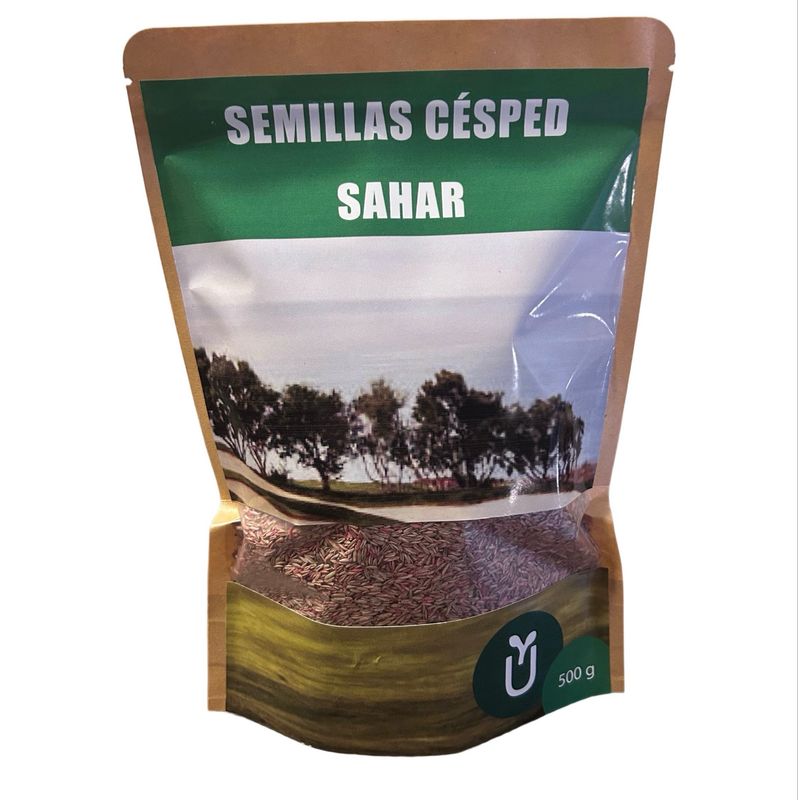 CÉSPED SAHAR - ARENA BALNEARIO 