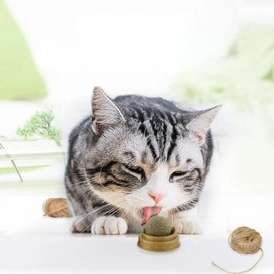 GOLOSINA GATO YERBA GATERA