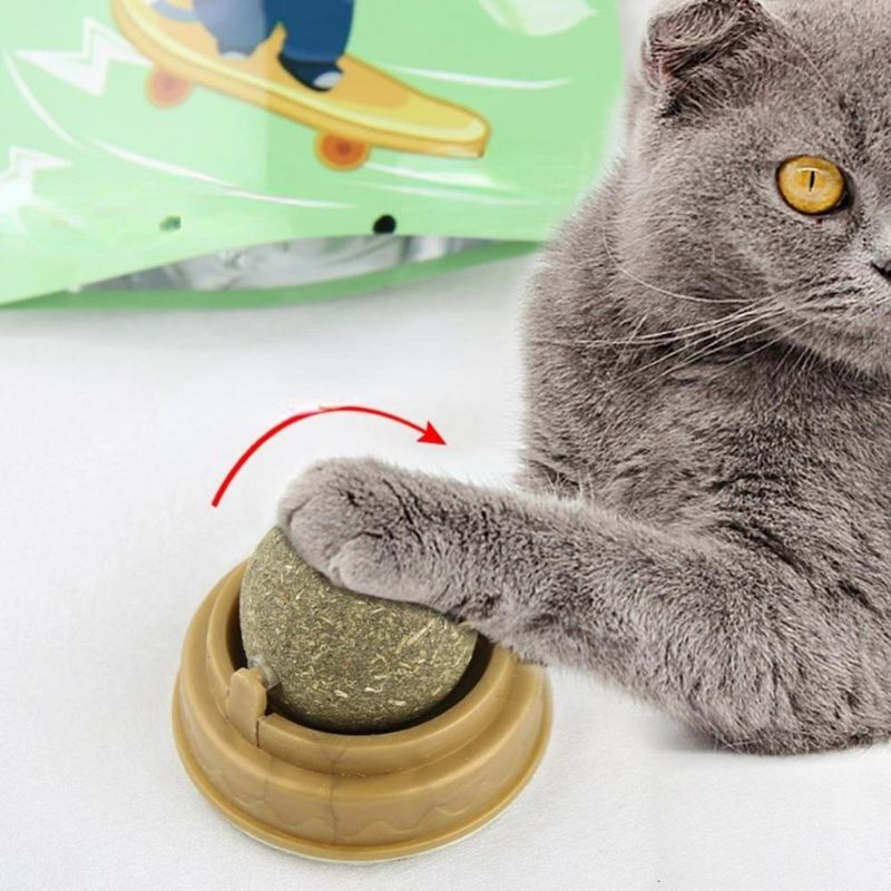 GOLOSINA GATO YERBA GATERA