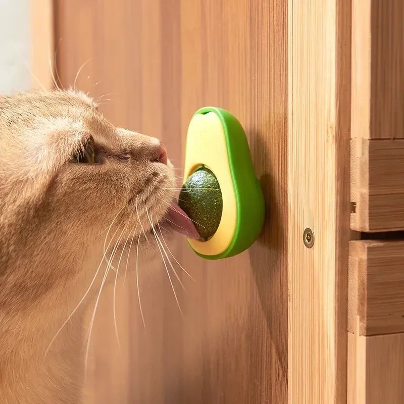 GOLOSINA YERBA GATERA PARA GATO 100% NATURAL FORMA PALTA