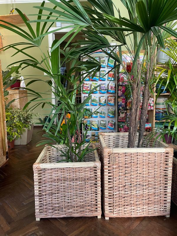 CANASTO MIMBRE Y MADERA 40CM