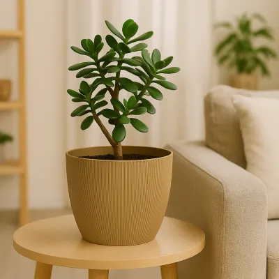 MACETA VERCELLI REDONDA 22CM