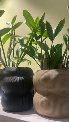 MACETA GORDO DOBLE MEDIANA NEGRA 3D 12CM