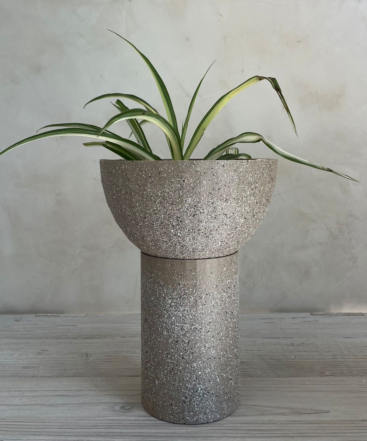 MACETA CON BASE IMPRESA EN 3D