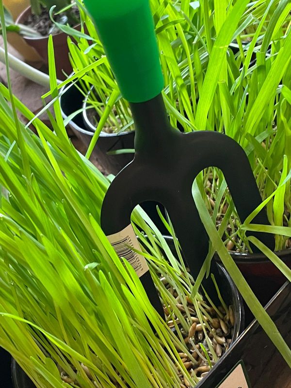 RASTRILLO DE MANO TRIDENTE DE JARDINERÍA