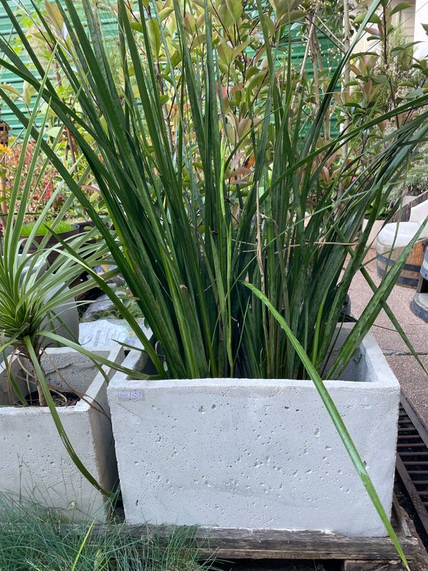 JARDINERA ALTA HORMIGÓN 55CM