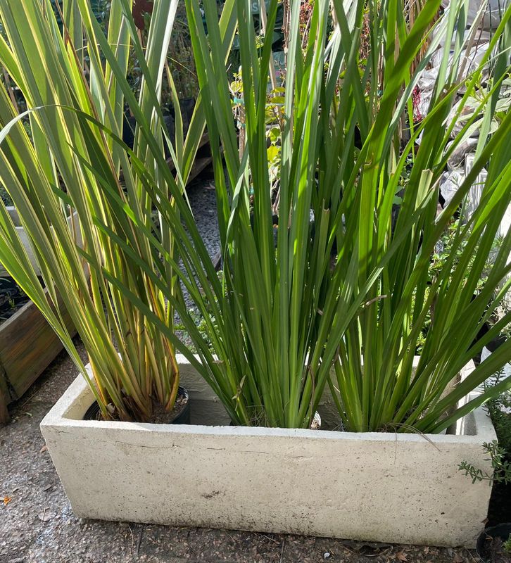 JARDINERA HORMIGÓN 80CM