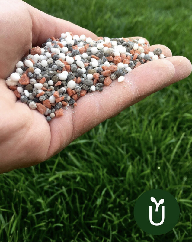 Fertilizante Granulado Triple 15 10Kg - Plantas Césped