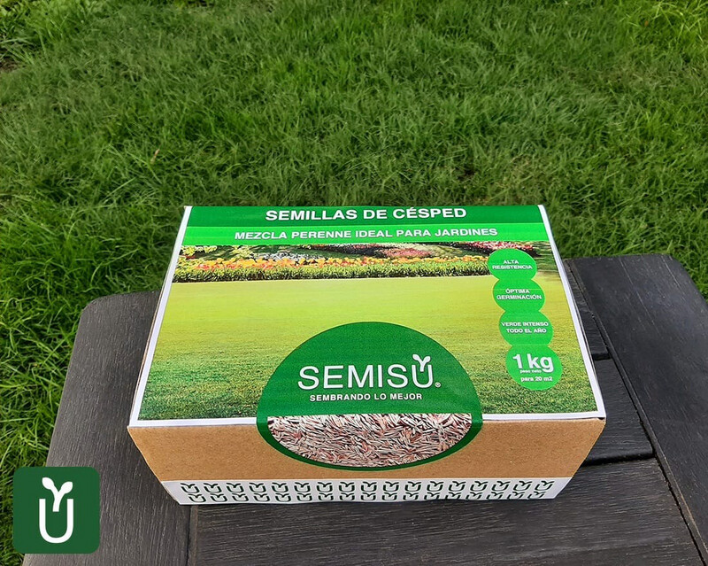 Semillas Césped perenne - Ideal Jardines - Mix 4 Estaciones