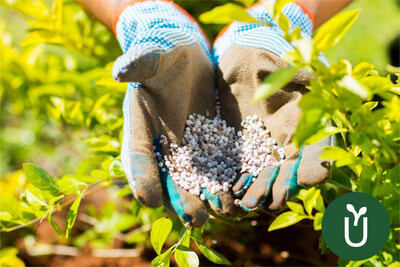 Fertilizante Urea - 5 Kg - Césped Cultivos Plantas