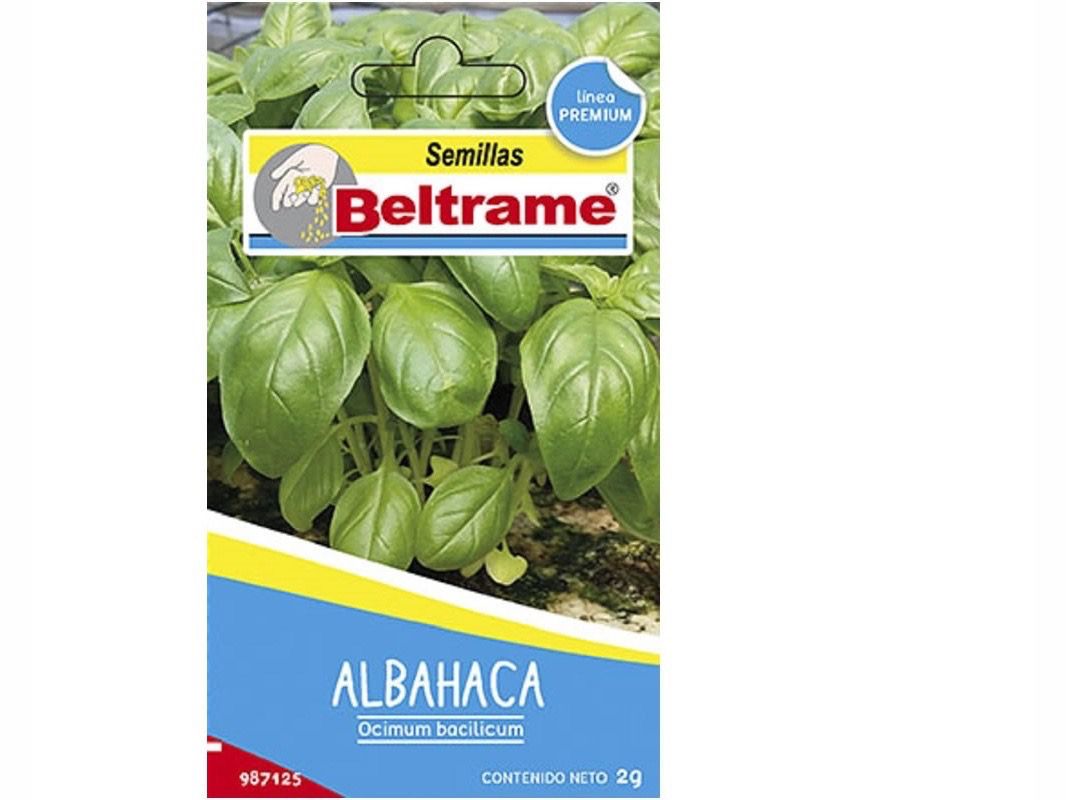Semillas Albahaca 