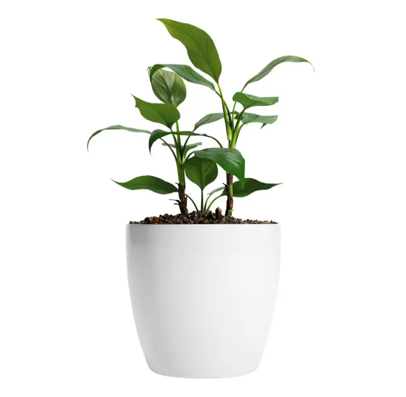 MACETA UMBRA REDONDA LISA 14CM