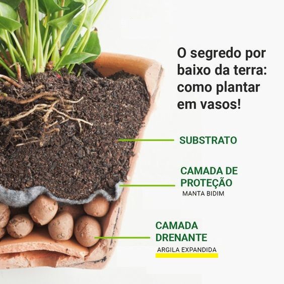 ARCILLA EXPANDIDA 