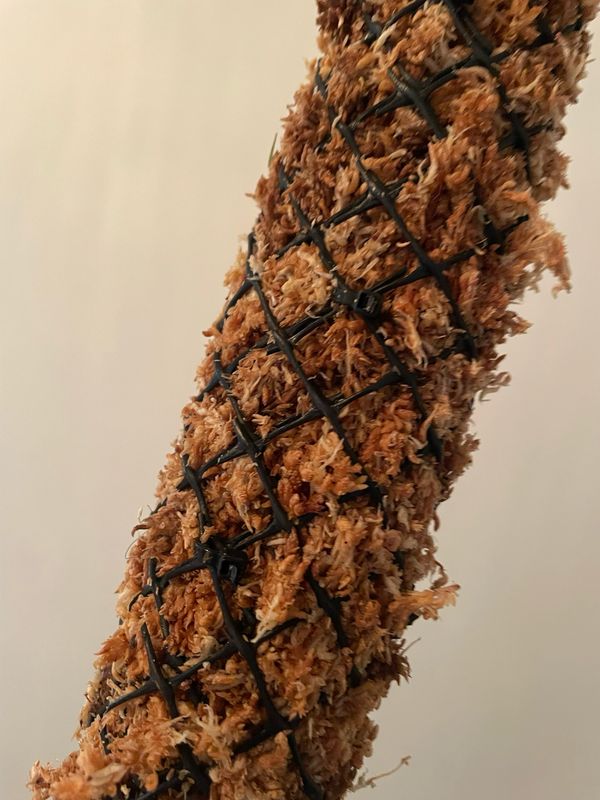 MÓDULO DE EXTENSIÓN DE TUTOR MUSGO  30CM ENCASTRABLE