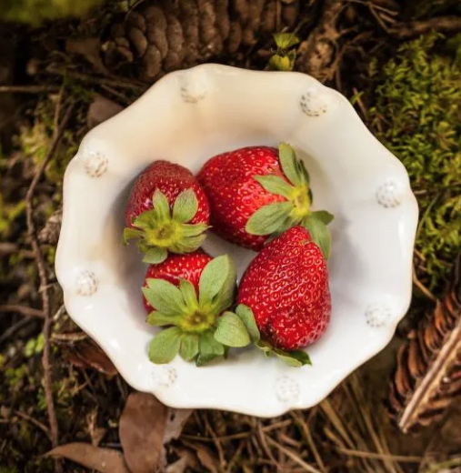 JULISKA Berry Bowl BERRY &amp; THREAD JA44/W