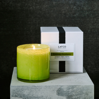 LAFCO Office/Rosemary Eucalyptus Candle
