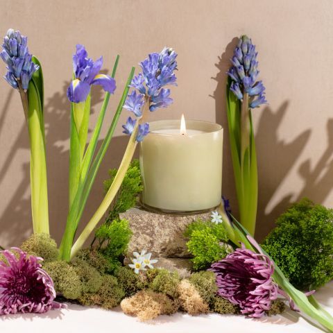 LAFCO Wild Honeysuckle Signature Candle