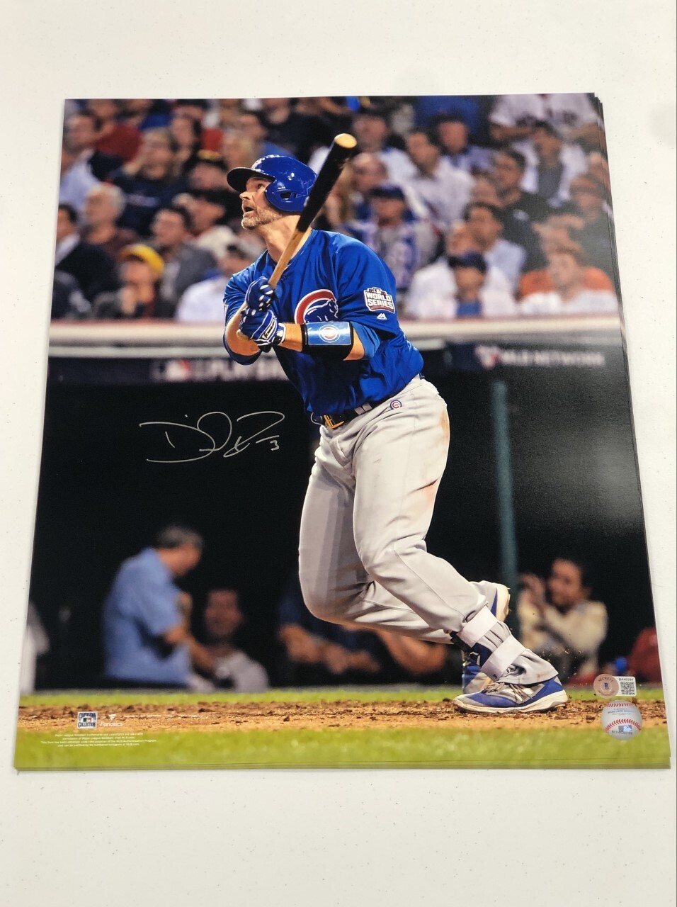 David Ross Signed Licensed 16x20 Photo (Game 7 Home Run)
