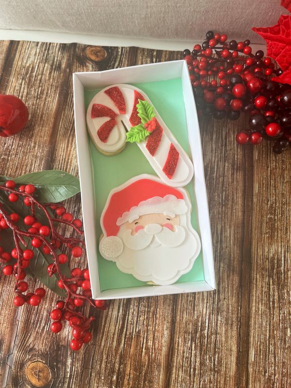 Santa &amp; candy cane