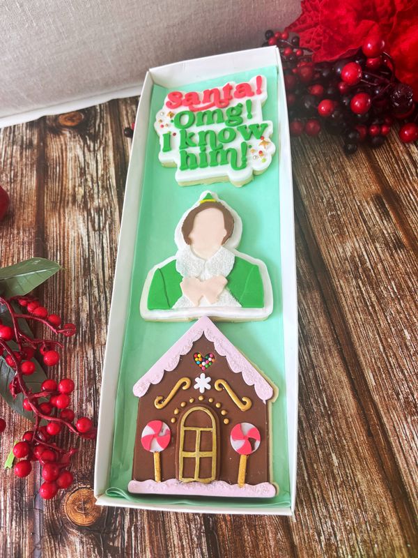 Elf movie trio with house