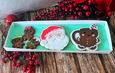 Santa, Cocoa and minis