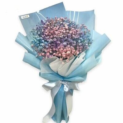 Baby&#39;s Breath