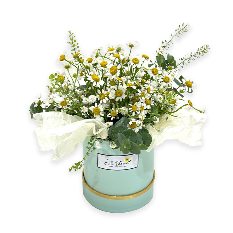 Chamomile Bunch