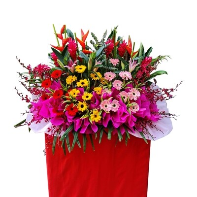 OFA10 Grand Opening Congratulatory Flowers