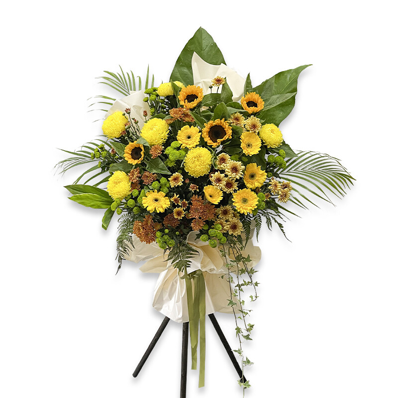 CD57 Gracious Memorial