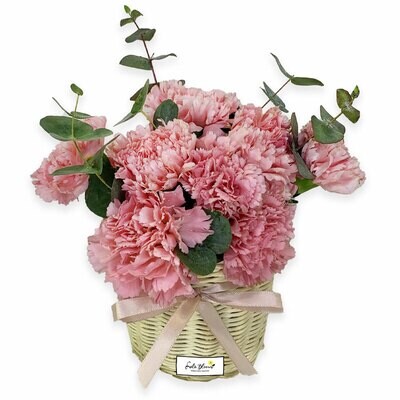 Flower Baskets / Boxes