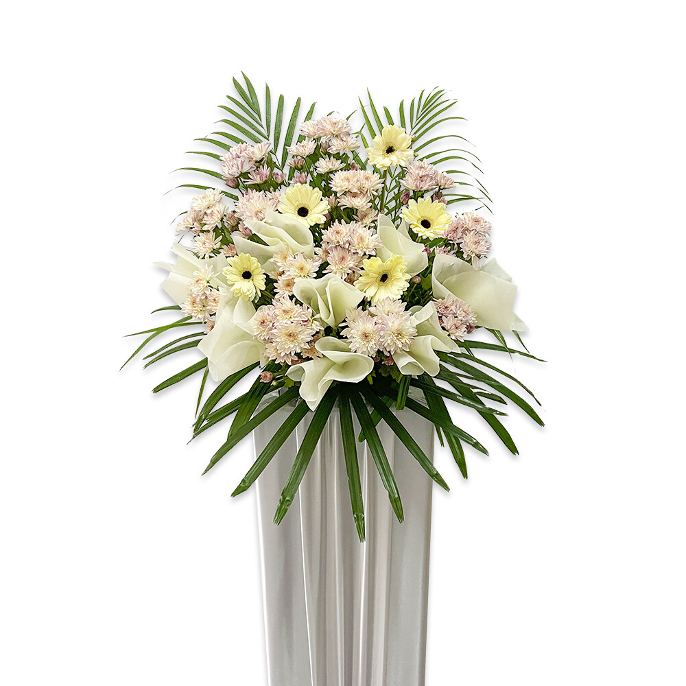 CD60 Tender Memories