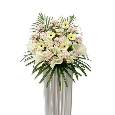 CD60 Tender Memories