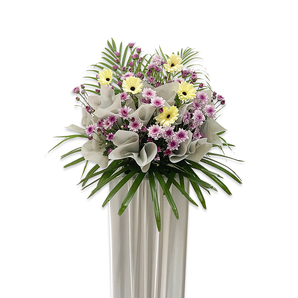 CD59 Purple Peacefulness