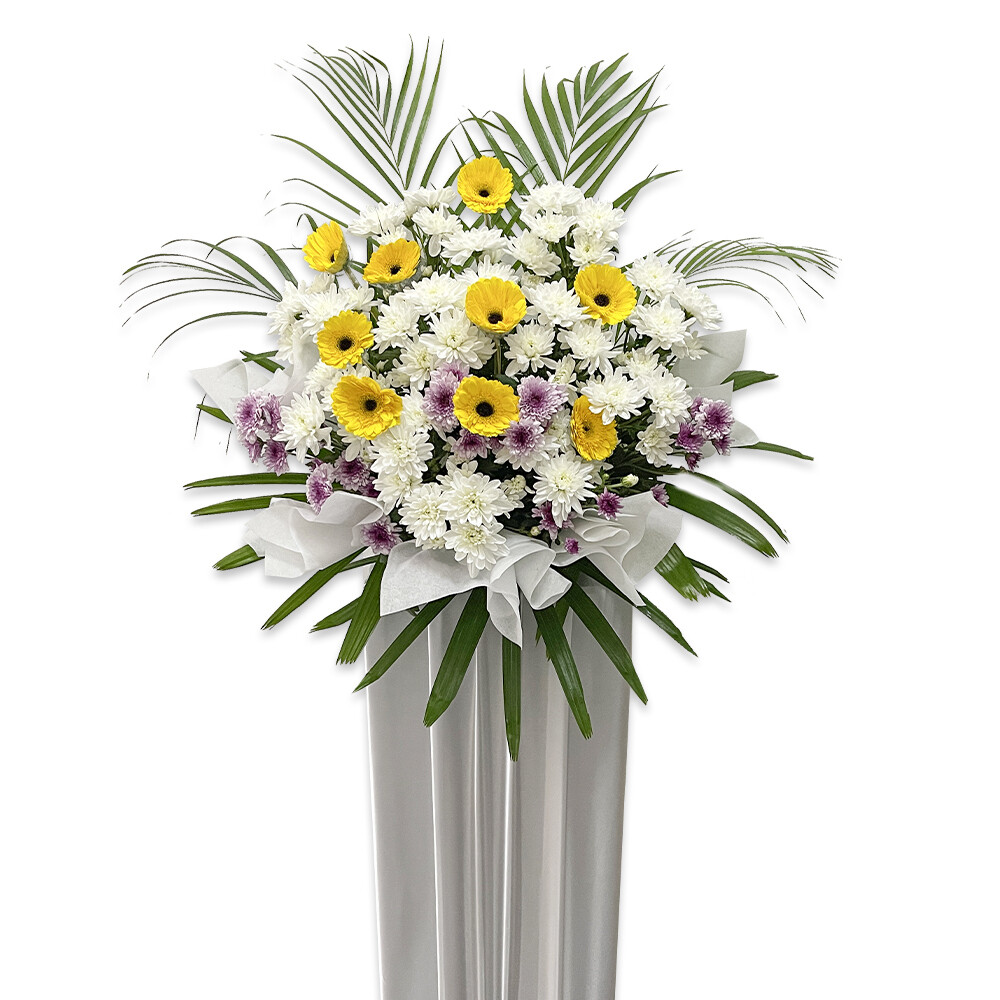 CD66 Memories Remain