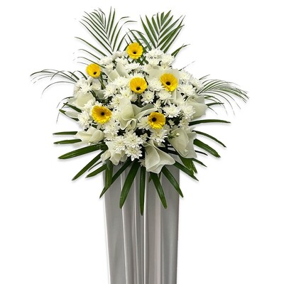 CD64 Caring Thoughts