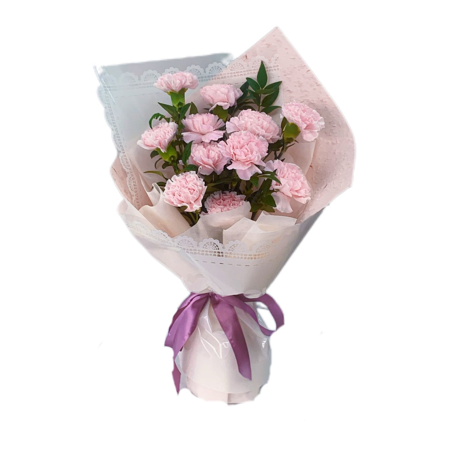 Sweet Blush Carnation