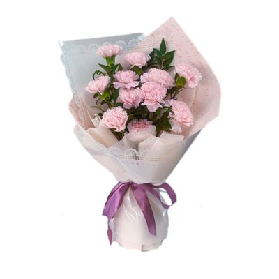 Sweet Blush Carnation