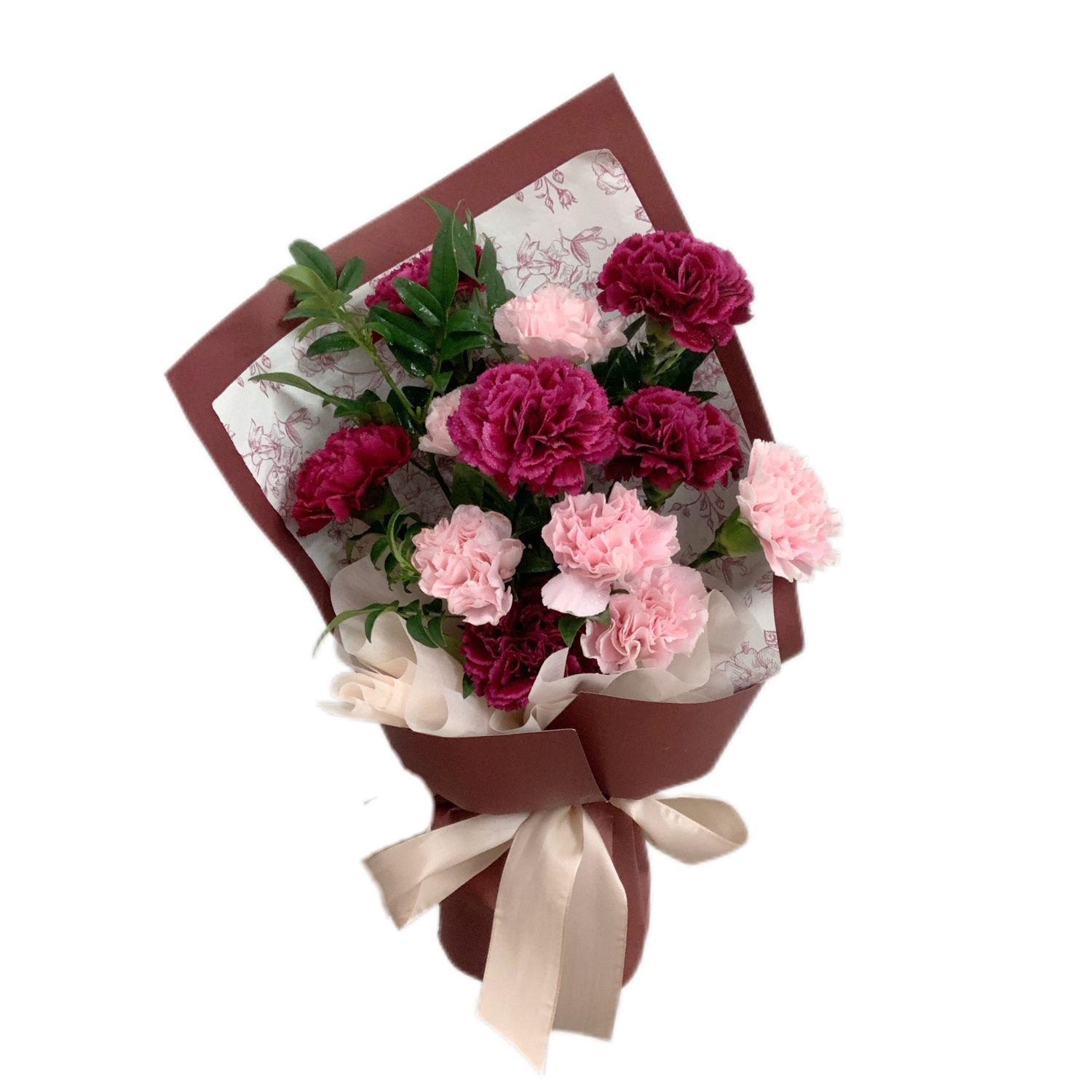 Ruby Blush Carnation